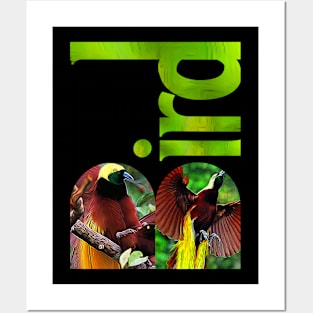 BIRD - 20 Posters and Art